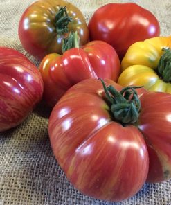 Tomater stora 1kg