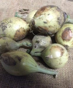 Lök mild stor lök 3kg