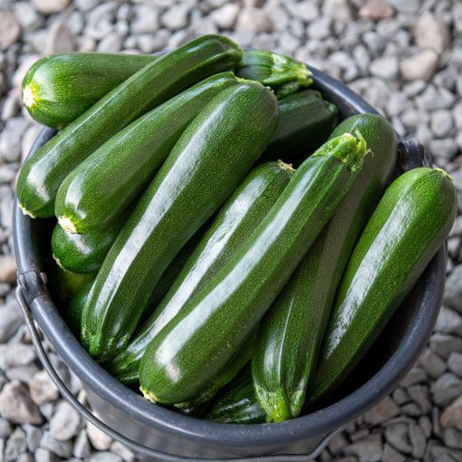 zuccini  500gr
