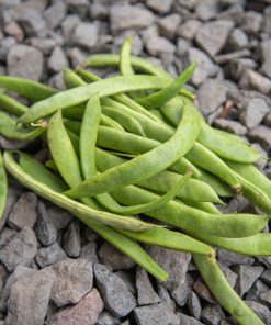bönor skär (platta)  300gr