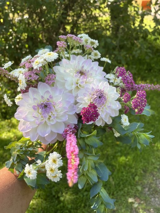 Liten sommarbukett nr 1