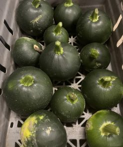 Rund squash ca 0,5kg