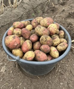 King Edvard ngt mjölig 5kg
