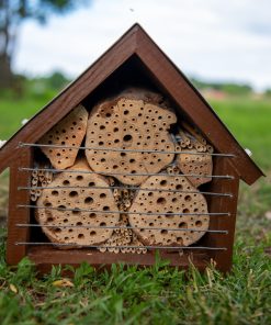 Insekthotell
