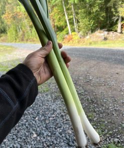 extra lång purjolök ca 400gr