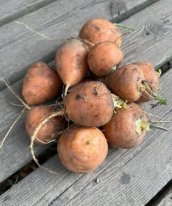 Rund morot 1kg