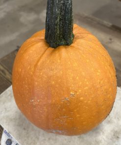 Liten matpumpa ca 2kg