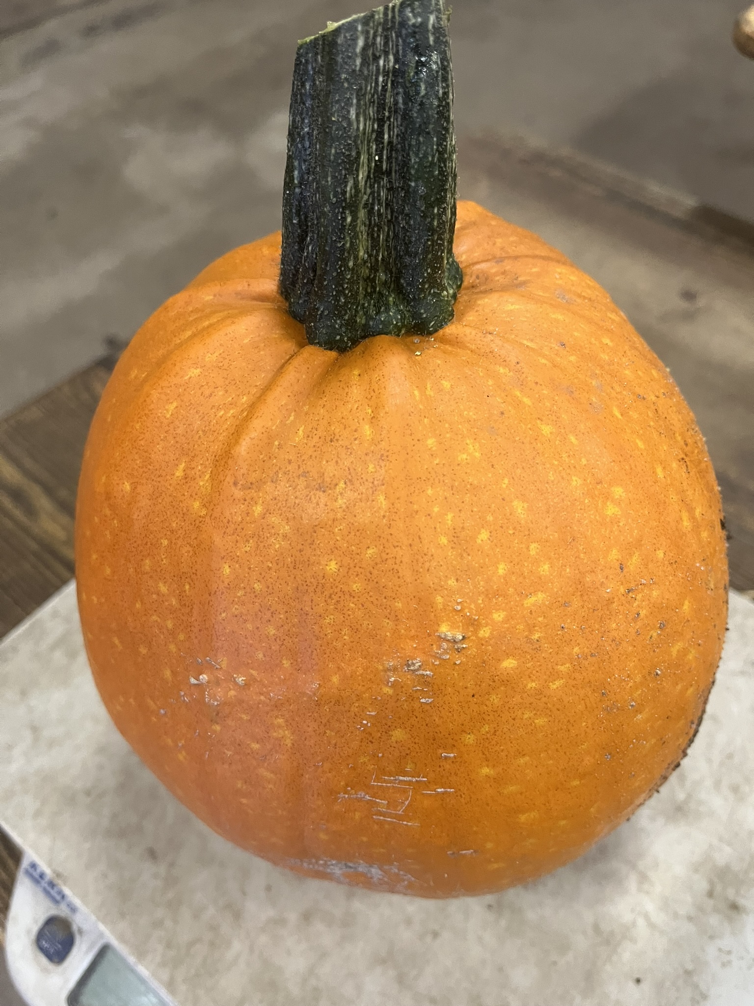 Liten matpumpa ca 2kg